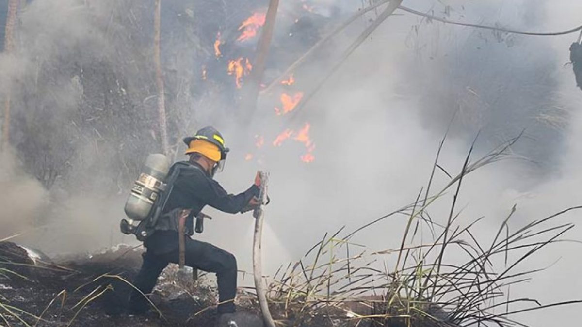 bomberos-capacitan-combatir-incendios-forestales-001-750x420